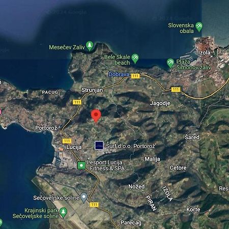 Apartma Ester Lucija Zewnętrze zdjęcie